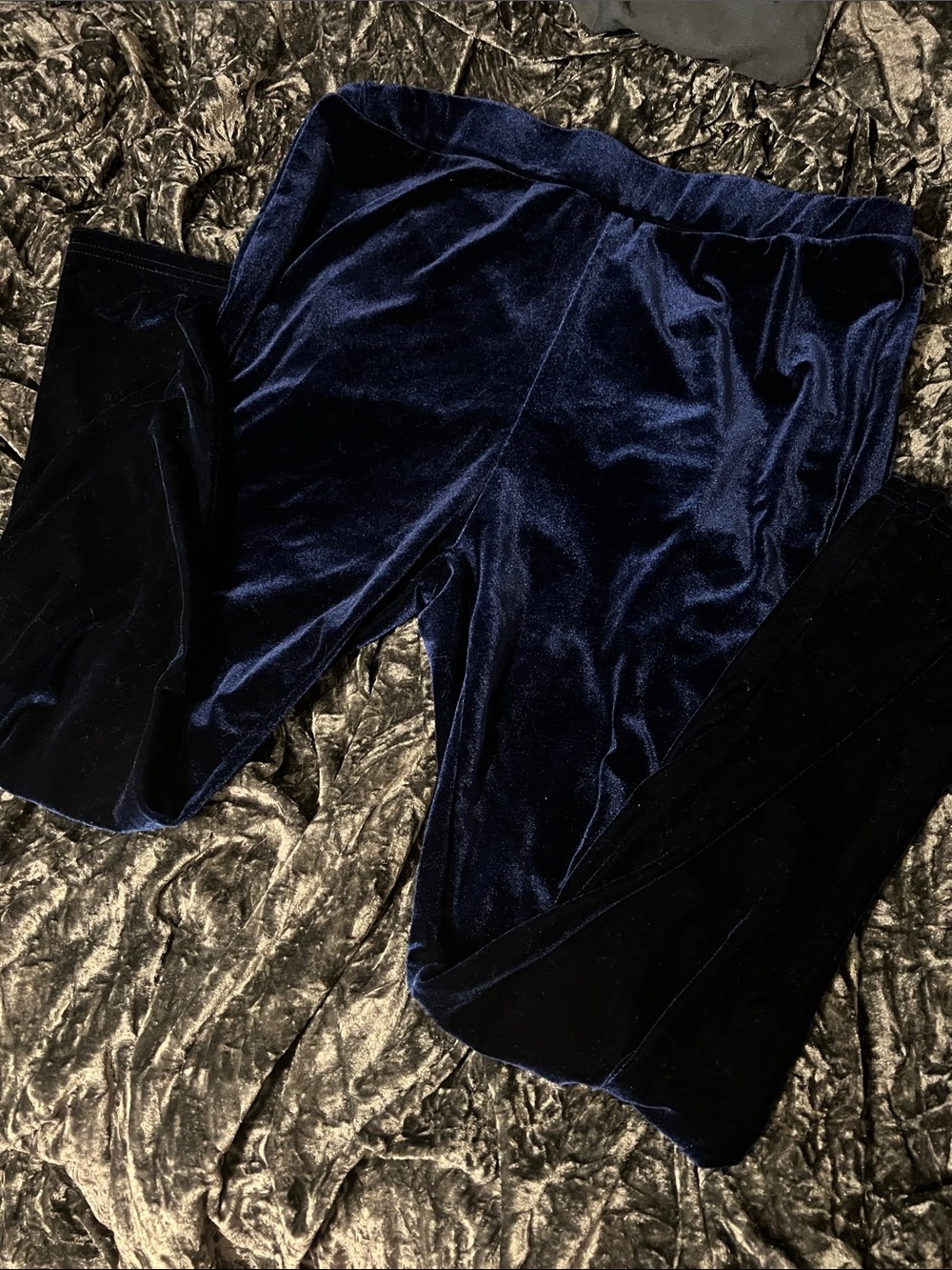Blue Velvet Leggings 2X
